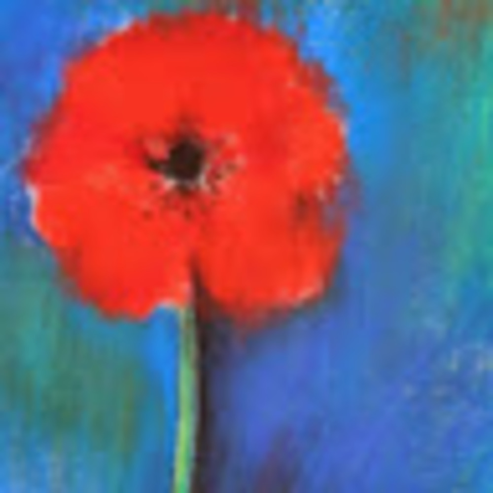 Meet your Posher, Mahesh